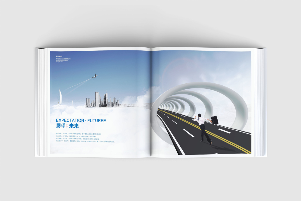 五通桥区画册设计